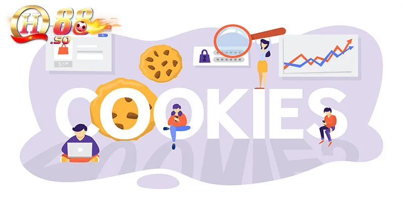 Chính Sách Bảo Mật QH88: An Tâm Trải Nghiệm Cá Cược 2 Một vài quy định về cookie