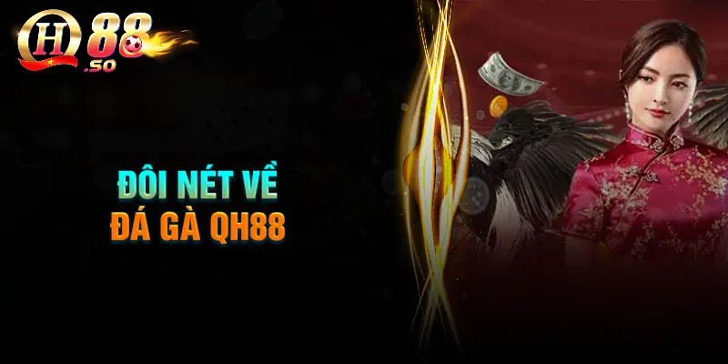Khám phá sảnh đá gà QH88 – Đấu trường kịch tính, kèo cược hấp dẫn 1 Thông tin về sảnh cược đá gà tại QH88